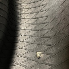 205/50R17 MAXTREK MAXIMUS M1 2021年 1本パンク修理有の画像