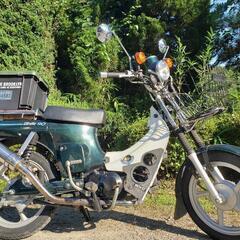 🛵バーディー90cc‼️通勤通学配達‼️キャンプ‼️早い者勝ち‼️即乗り‼️の画像