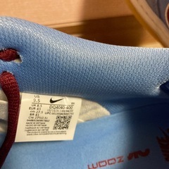 NIKEダンクロープロの画像