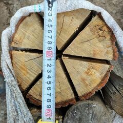 焚き火、スウェーデントーチセットの画像