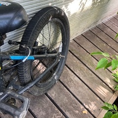 ジュニア　自転車の画像