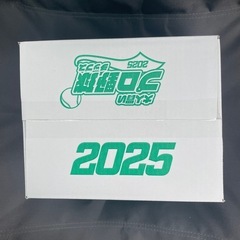大人買い2025プロ野球チップスの画像