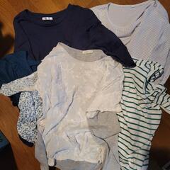 レディース　夏セットの画像