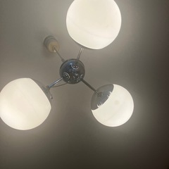 証明の画像