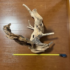 アクアリウム流木の画像