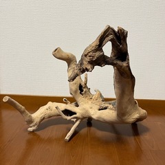 アクアリウム流木の画像