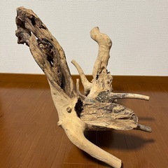アクアリウム流木の画像