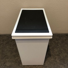 天馬　ダストボックス　プッシュオープンフタ ゴミ箱の画像