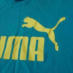 PUMAの画像