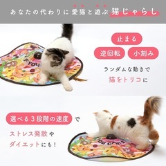 猫壱🐈猫用電動おもちゃ✨の画像
