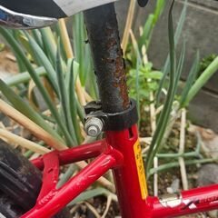 引き取り中　パナソニック自転車子供用の画像