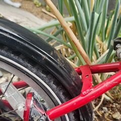 引き取り中　パナソニック自転車子供用の画像