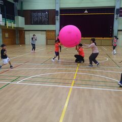 火曜と金曜の夜はキンボールスポーツ！