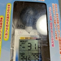 みはりん坊プロの画像