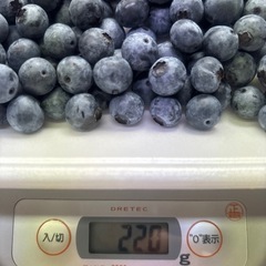 朝採り　ブルーベリー　無農薬の画像