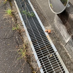 グレージング（6枚）の画像