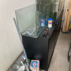 水槽の画像