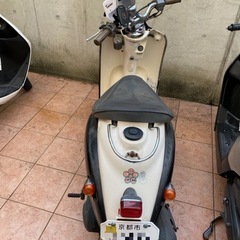 Ｖｉｎｏ　大人気のビーノの画像