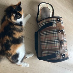 猫用キャリーバッグの画像