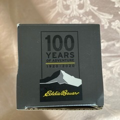 【非売品　新品未使用】ステンレスボトルの画像