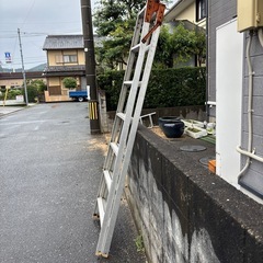 🌵７段脚立さん🌵の画像