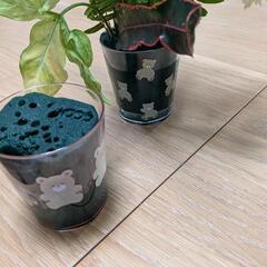 無料！　生け花　お花　の画像