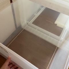 収納ケースセットの画像