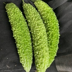 
⭐️朝どり野菜 セット⭐️  の画像