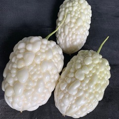 
⭐️朝どり野菜 セット⭐️  の画像