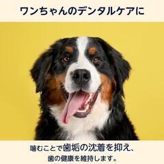 未開封　ワンコの歯みがきガム 110本の画像
