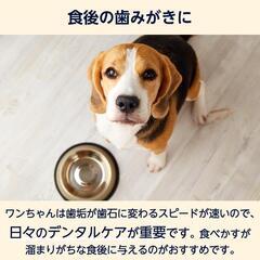 未開封　ワンコの歯みがきガム 110本の画像