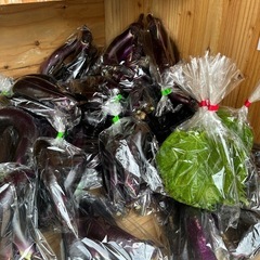 朝取立て　野菜の画像