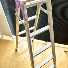 アルインコ生産終了ハシゴ兼用脚立の画像