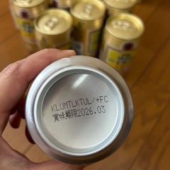 タカラ焼酎ハイボールレモン糖質ゼロ　11缶の画像