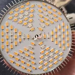 【決定】植物育成用LEDの画像
