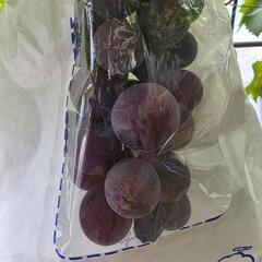 ぶどう（巨峰）2kg（5〜7房ほど）の画像