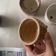 植栽　鉢　プランターの画像