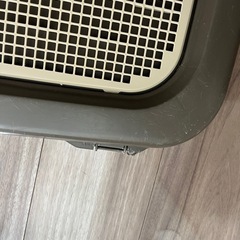 【無料】ワイド　トイレ　犬用の画像