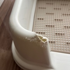 【無料】ワイド　トイレトレー　犬用の画像