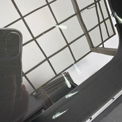 メダカ　鯖の極みの画像