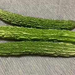 ニガウリ３本の画像