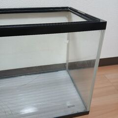 水槽　６０センチの画像