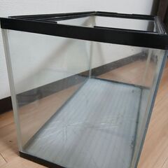 水槽　６０センチの画像