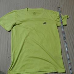 adidasMsize③