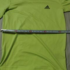 adidasMsize③の画像