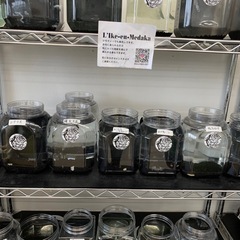 宇部新鮮館厚南店　メダカ　めだかの画像