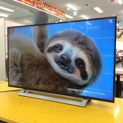 ジモティー見た！で5%OFF【液晶テレビ】4K液晶テレビ REGZA TOSHIBA 東芝 43M540X 2020年製 43インチの画像