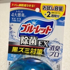 【1日のみ使用】ブルーレット除菌E X消臭ウォッシュ詰め替えの画像