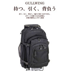 ガルウイング メンズ キャリー付きリュックバッグの画像