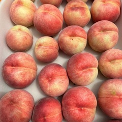 桃❗️川中島白鳳限定100玉A級品の画像